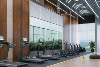 Gymnasiums